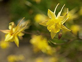 《光环》作曲师起诉微软 称没有被支付版税